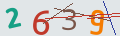 verifycode